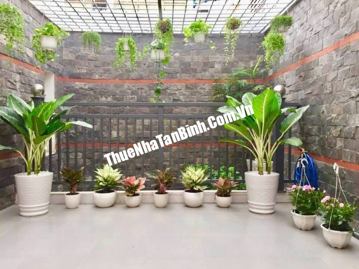 ce1dfc904f7d95e77e07be97f867aeab-2848810665036967502_cleanup