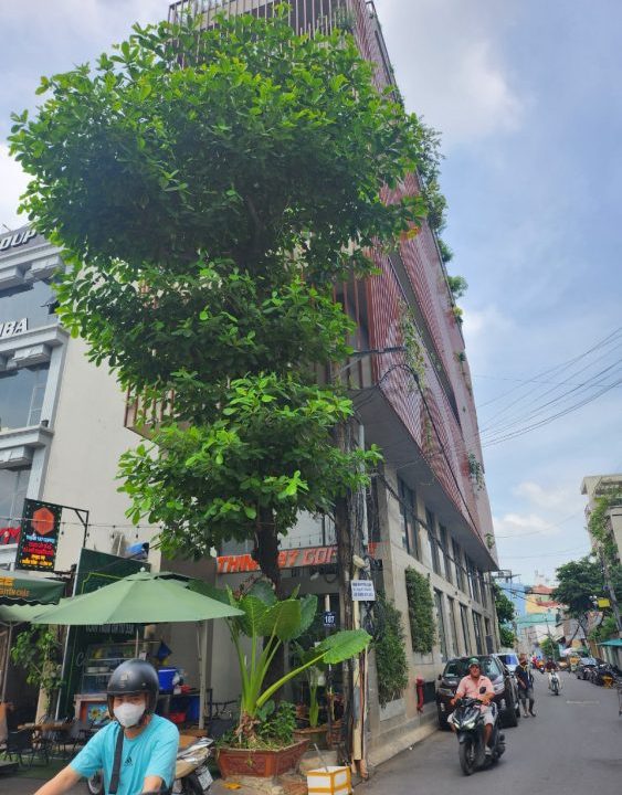 z4843909898828_a7af5a2cebc011bef223ce724aa6b594