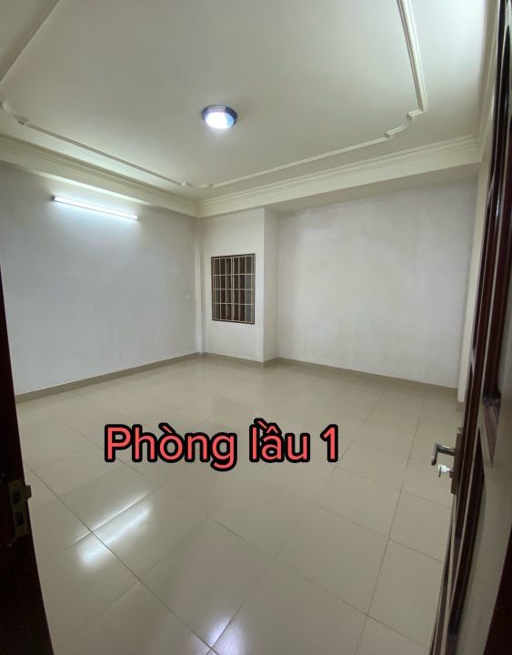 z5125675592979_e808977a40e1e161df3e48995eed0262